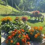 Turisticna Kmetija Cercek *