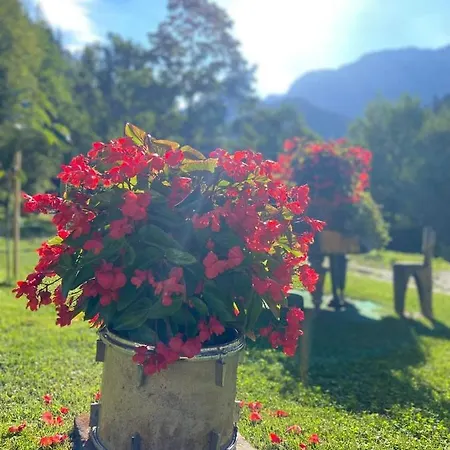 Turisticna Kmetija Cercek