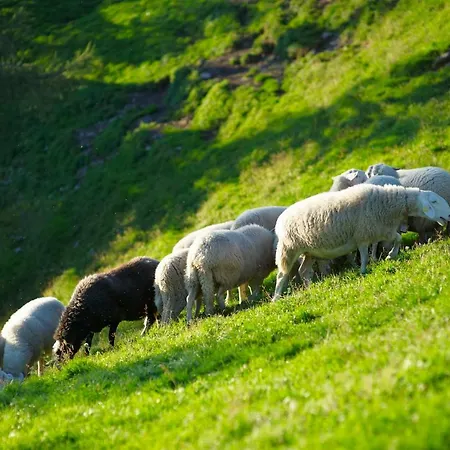 Farm stay Turisticna Kmetija Cercek