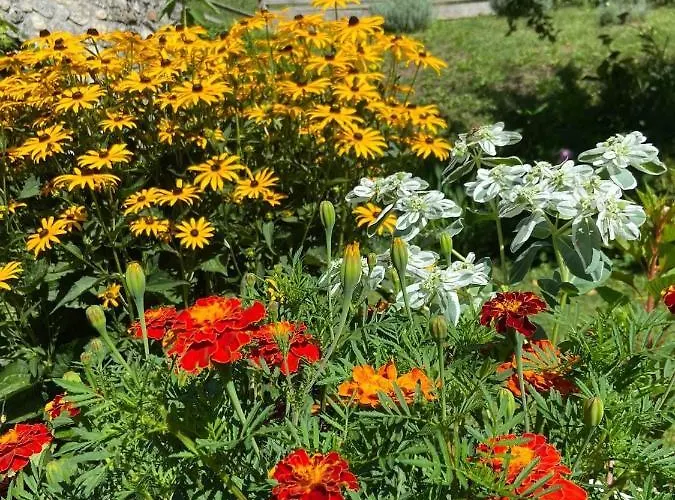 Alojamento de Turismo Rural Turisticna Kmetija Cercek