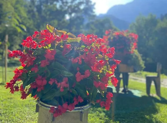 Turisticna Kmetija Cercek