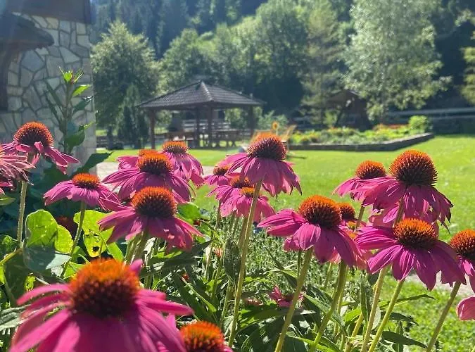 Feriegård Turisticna Kmetija Cercek *