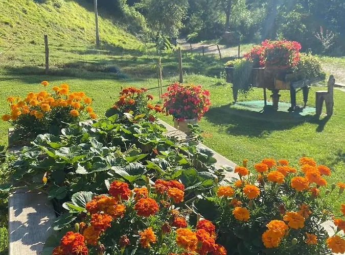 Turisticna Kmetija Cercek *