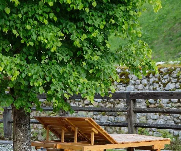 Turisticna Kmetija Cercek * סולצאבה