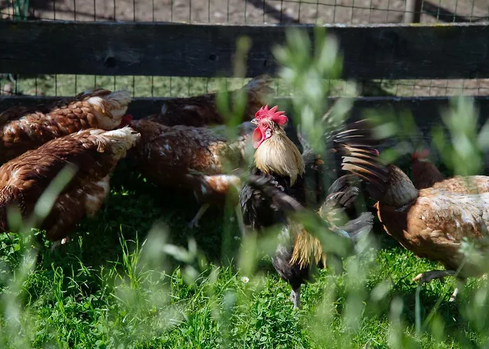 Turisticna Kmetija Cercek *