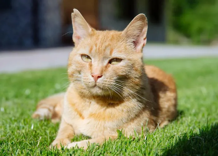 Turisticna Kmetija Cercek