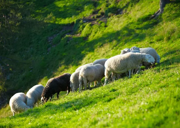 Alojamento de Turismo Rural Turisticna Kmetija Cercek